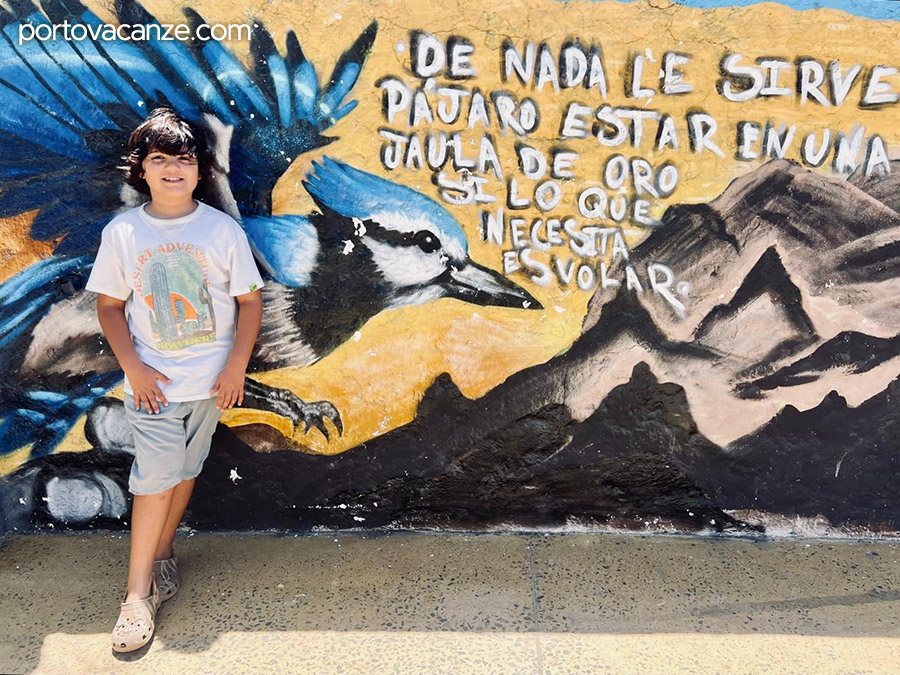 Encuentros con la naturaleza para niños en La Paz